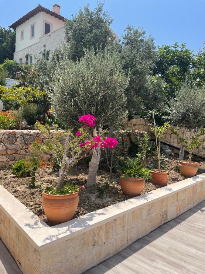Villa Xanthos Kaş Extérieur photo
